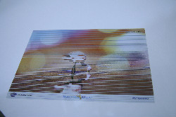 01_2-1.jpg