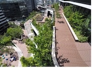 3. まるで棚田のような「スキップテラス」の全貌。水と緑を感じながら働く新しいワークスタイルを提案