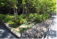 11. 建物1階外の「雨の景」には、雨水を貯留しゆっくり地面に浸透させ、水害防止にも有効なレインガーデン。表面の石は伊豆諸島新島産の抗火石が使用されている