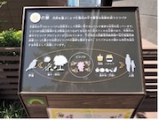 13. 「蜂の景」では、生態系に及ぼすミツバチの働きを紹介、スキップフロアの5階には大きな養蜂箱が設置され、「百花蜜」が採取できる